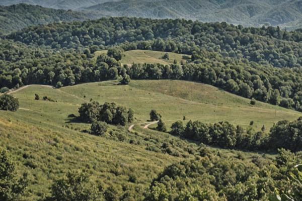 Tennessee mountain landscape